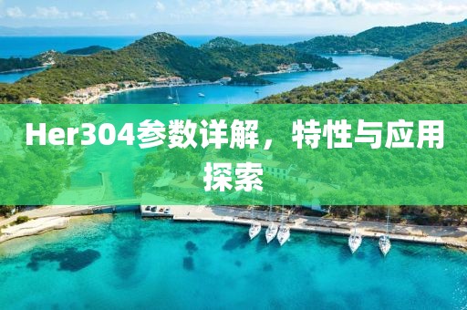 Her304参数详解，特性与应用探索