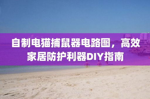 自制电猫捕鼠器电路图，高效家居防护利器DIY指南