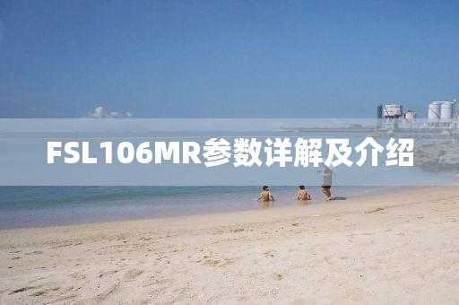 FSL106MR参数详解及介绍