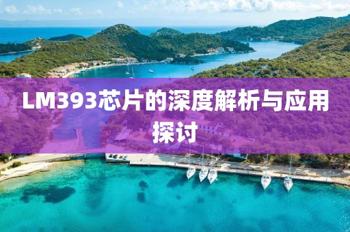 LM393芯片的深度解析与应用探讨