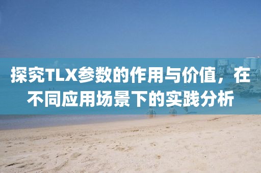 探究TLX参数的作用与价值，在不同应用场景下的实践分析