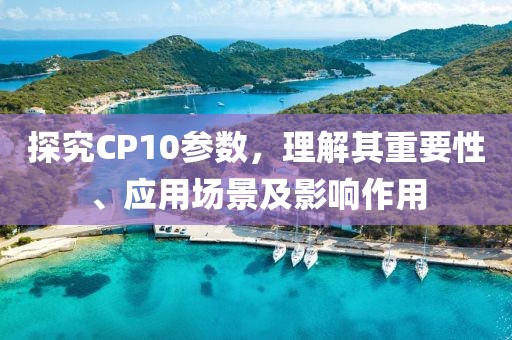 探究CP10参数,理解其重要性、应用场景及影响作用