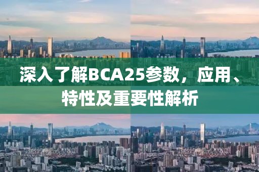 深入了解BCA25参数,应用、特性及重要性解析
