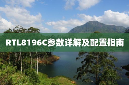 RTL8196C参数详解及配置指南