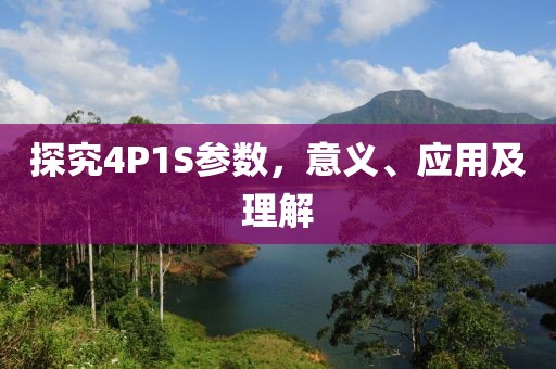 探究4P1S参数，意义、应用及理解