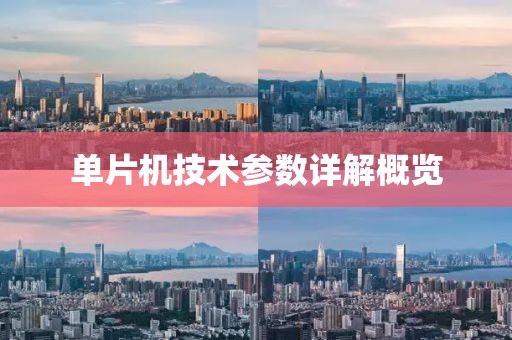 单片机技术参数详解概览