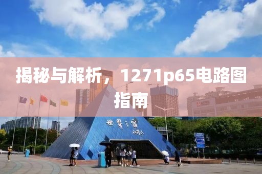 揭秘与解析，1271p65电路图指南