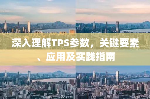 深入理解TPS参数，关键要素、应用及实践指南