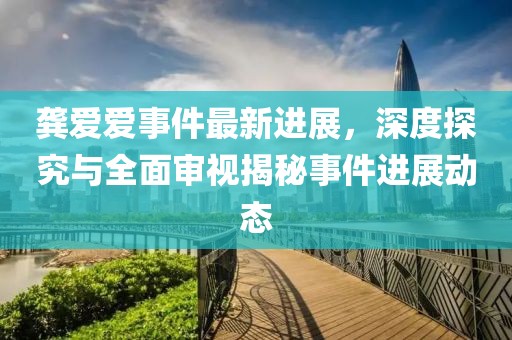 龚爱爱事件最新进展，深度探究与全面审视揭秘事件进展动态