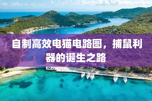 自制高效电猫电路图，捕鼠利器的诞生之路