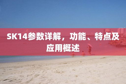 SK14参数详解，功能、特点及应用概述