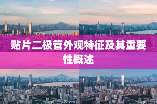 贴片二极管外观特征及其重要性概述