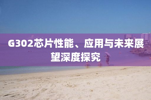 G302芯片性能、应用与未来展望深度探究