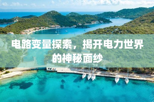 电路变量探索，揭开电力世界的神秘面纱