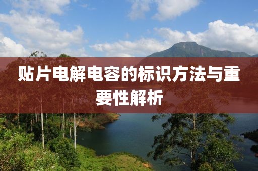 贴片电解电容的标识方法与重要性解析