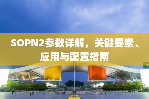 SOPN2参数详解，关键要素、应用与配置指南