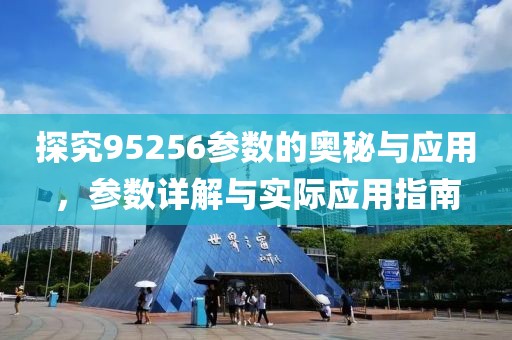探究95256参数的奥秘与应用，参数详解与实际应用指南