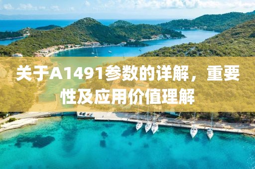 关于A1491参数的详解，重要性及应用价值理解