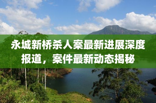 永城新桥杀人案最新进展深度报道，案件最新动态揭秘