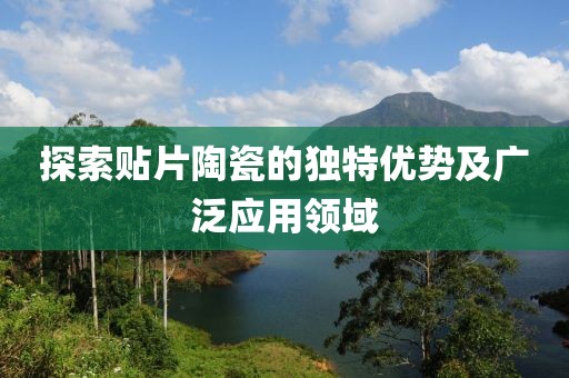 探索贴片陶瓷的独特优势及广泛应用领域