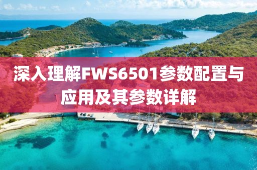 深入理解FWS6501参数配置与应用及其参数详解