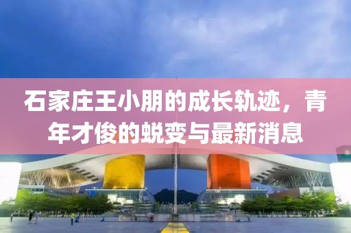 石家庄王小朋的成长轨迹，青年才俊的蜕变与最新消息