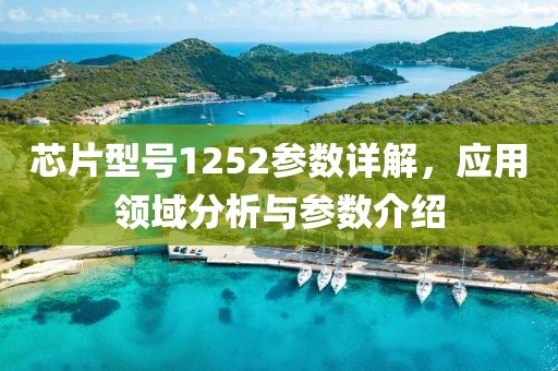 芯片型号1252参数详解,应用领域分析与参数介绍
