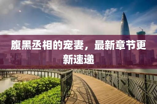 腹黑丞相的宠妻，最新章节更新速递