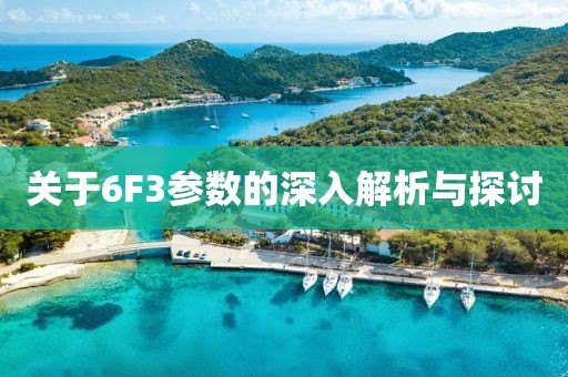 关于6F3参数的深入解析与探讨