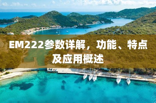 EM222参数详解,功能、特点及应用概述