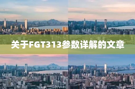 关于FGT313参数详解的文章