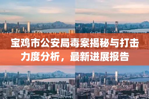 宝鸡市公安局毒案揭秘与打击力度分析，最新进展报告