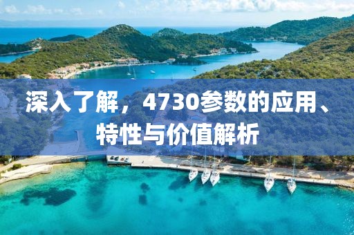 深入了解,4730参数的应用、特性与价值解析