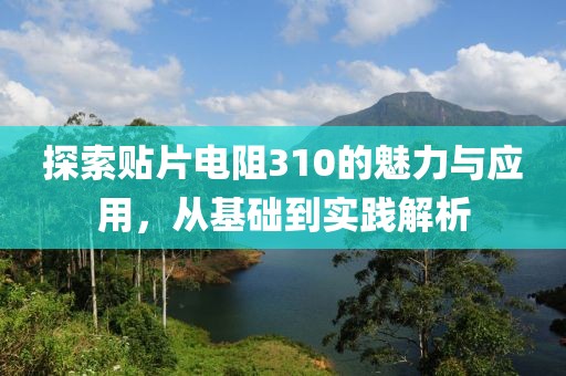 探索贴片电阻310的魅力与应用,从基础到实践解析