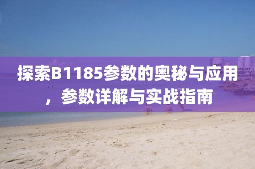 探索B1185参数的奥秘与应用,参数详解与实战指南