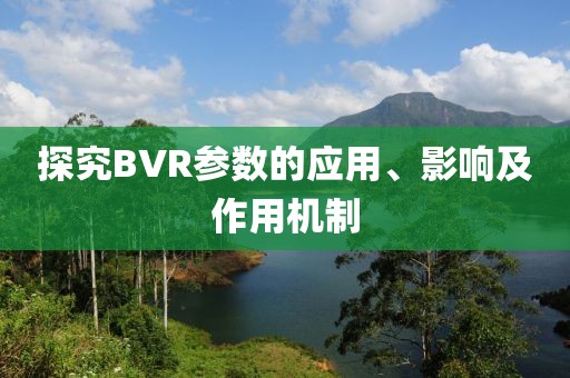 探究BVR参数的应用、影响及作用机制
