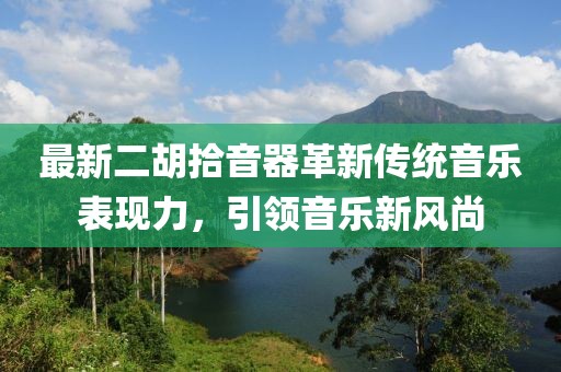 最新二胡拾音器革新传统音乐表现力，引领音乐新风尚