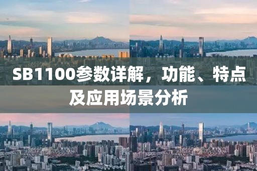 SB1100参数详解,功能、特点及应用场景分析