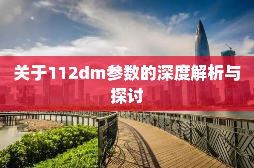 关于112dm参数的深度解析与探讨