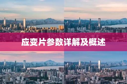 应变片参数详解及概述