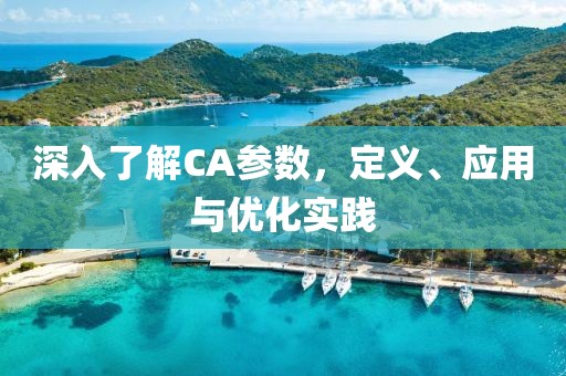 深入了解CA参数，定义、应用与优化实践