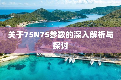 关于75N75参数的深入解析与探讨
