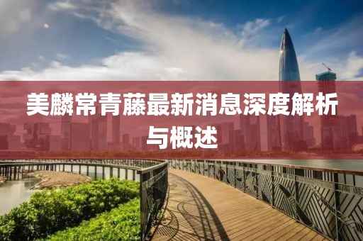 美麟常青藤最新消息深度解析与概述