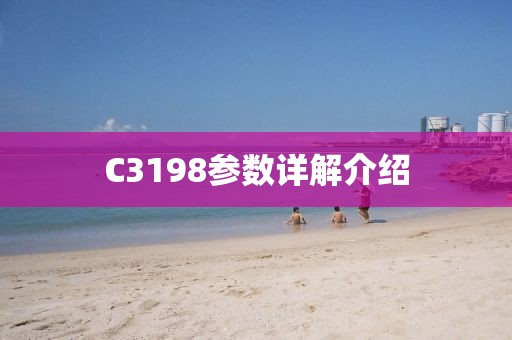 C3198参数详解介绍
