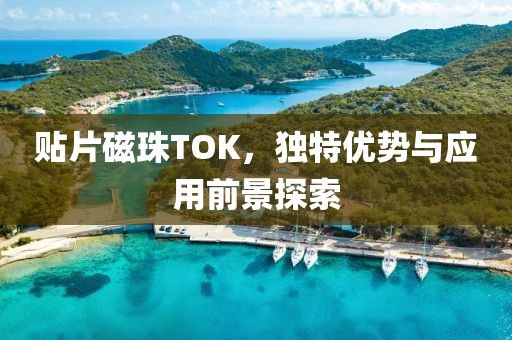 贴片磁珠TOK,独特优势与应用前景探索