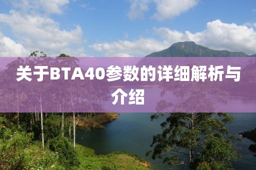 关于BTA40参数的详细解析与介绍