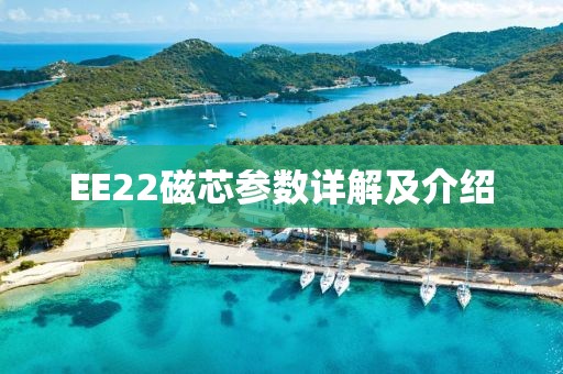 EE22磁芯参数详解及介绍