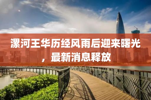 漯河王华历经风雨后迎来曙光，最新消息释放