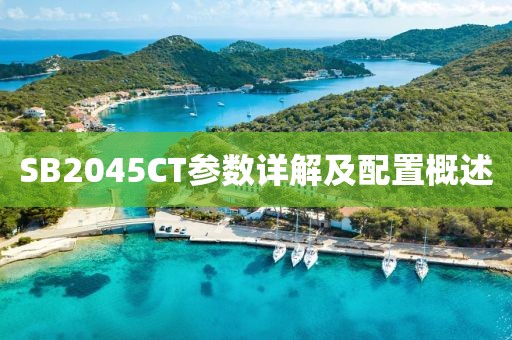SB2045CT参数详解及配置概述