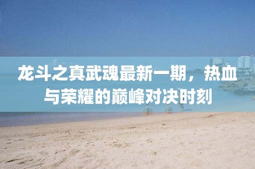 龙斗之真武魂最新一期，热血与荣耀的巅峰对决时刻
